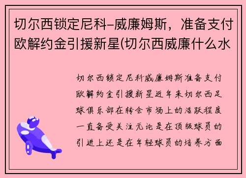 切尔西锁定尼科-威廉姆斯，准备支付欧解约金引援新星(切尔西威廉什么水平)